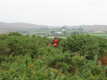 23963 Wouko hiking through pointy bushes.jpg